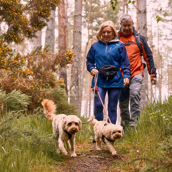2027 Bailey Couple Walking