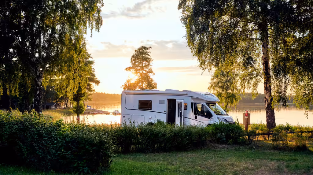 Motorhome in a forest